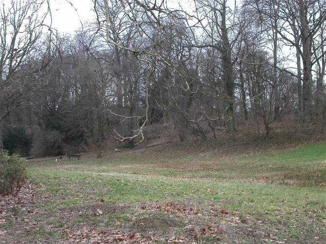 De Terhagerberg.