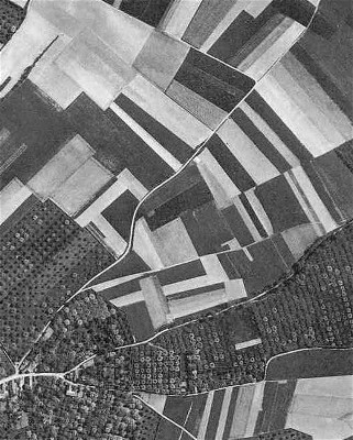 1950 De Hwakkel, de Hoos, de Hoosterberg en de Geversdel.