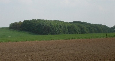 De nu opnieuw beboste Hoosterberg