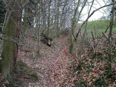 LM8.2 Holle weg
