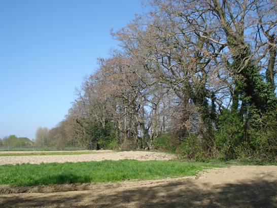 Tussen Maas en Graetheide-2-170