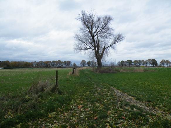 Tussen Maas en Graetheide-2-176