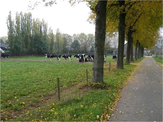 Tussen Maas en Graetheide-2-179