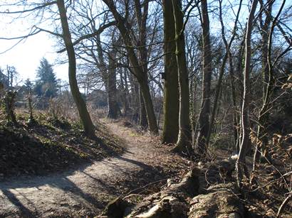 Tussen Maas en Graetheide026