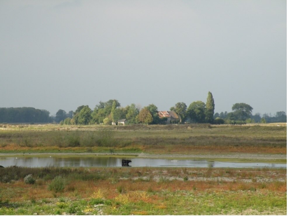 Meers Weerter Hof 033